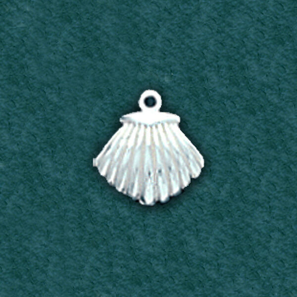 Seashell: C35738-C