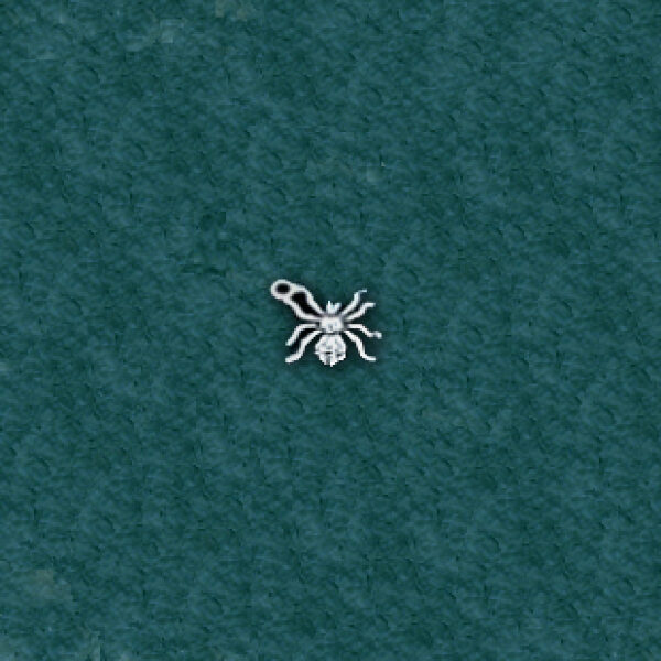 Spider: C36015-D