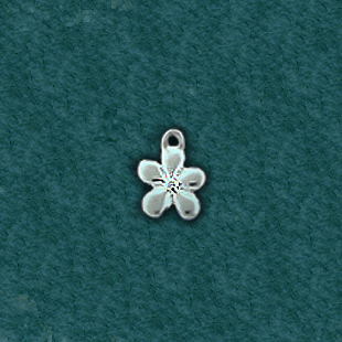 Flower: C8666-AA