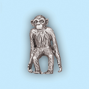 Chimpanzee: SC 257