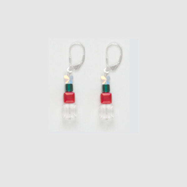 Gift Earrings