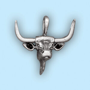 Longhorn Steer Head: SC 2466