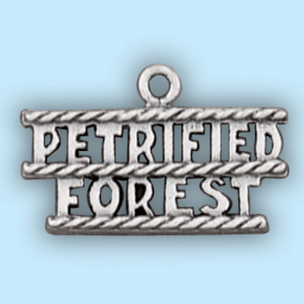 Petrified Forest: SC 656
