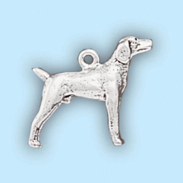 Retriever dog: LP2102